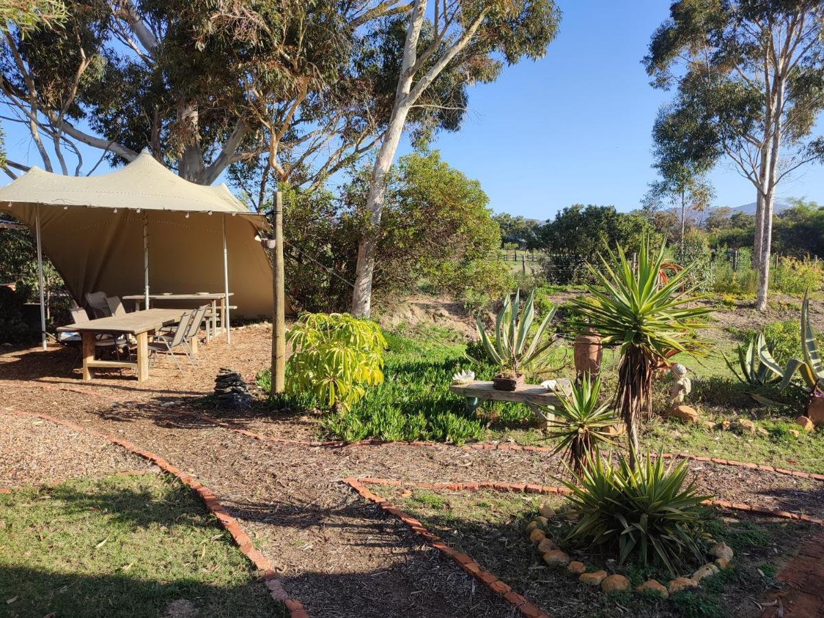 The Riverstone - Romantic Hideaway By The River - Loadshedding Free! Napier المظهر الخارجي الصورة